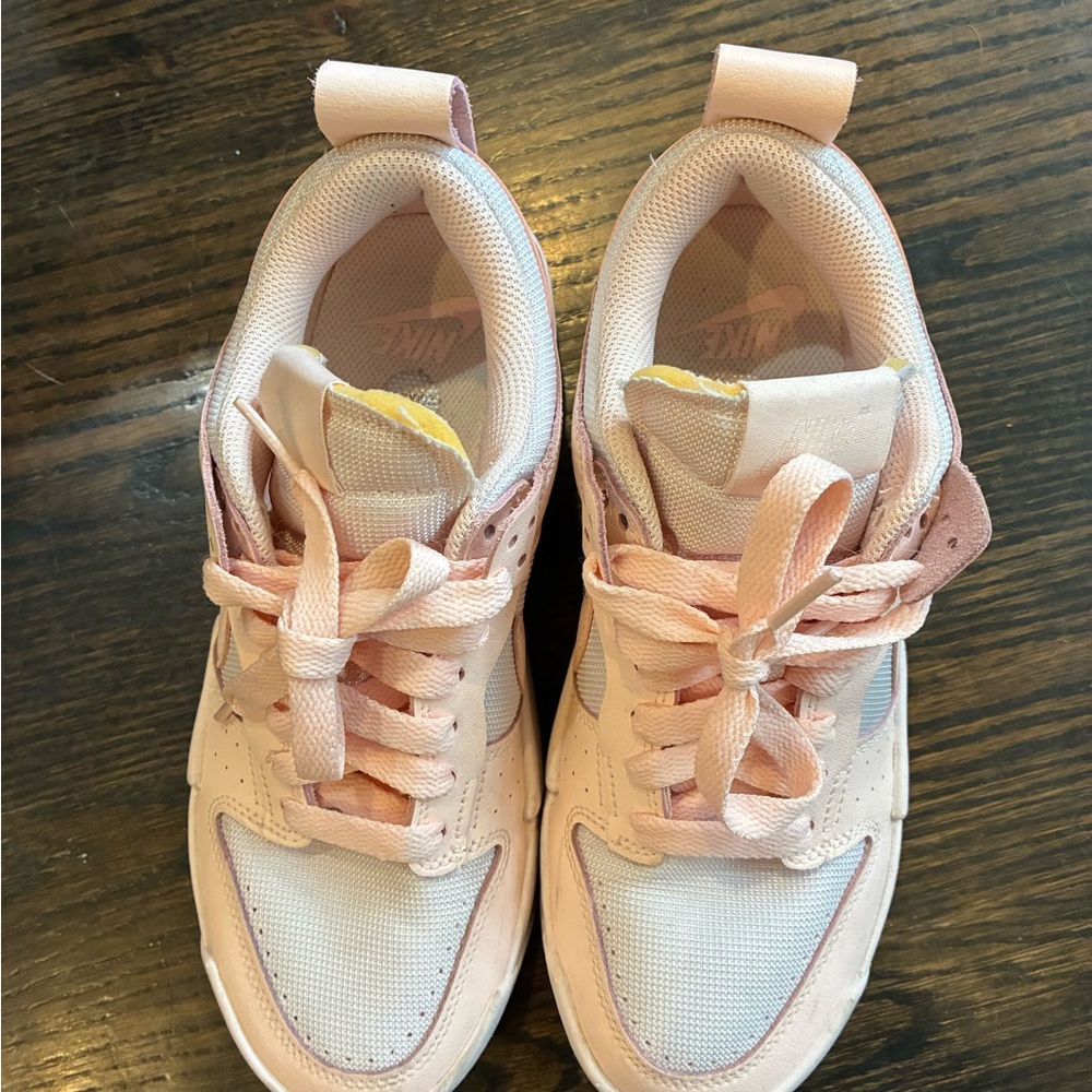 Nike Dunks Low Disrupts